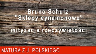 135 Bruno Schulz quotSklepy cynamonowequot  mityzacja rzeczywistości [upl. by Ahseken444]