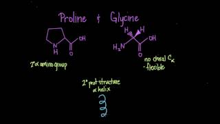 Special Cases Histidine Proline Glycine Cysteine [upl. by Mariano]