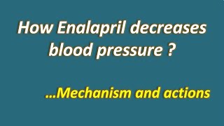 How enalapril decreases blood pressure  Mechanism amp actions [upl. by Dwyer]