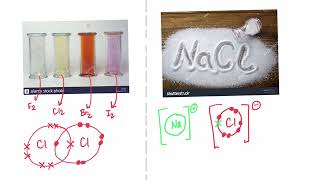 How to tell the difference between halogens and halides [upl. by Hplodur]