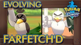 Pokémon Sword amp Shield  How to Evolve Farfetchd into Sirfetchd [upl. by Nuaj]