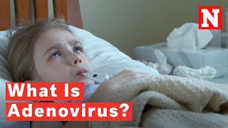 What Is Adenovirus [upl. by Ranique]