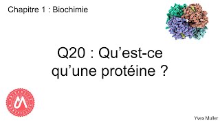 Chapitre 1  Biochimie  Q20  Questce quune protéine [upl. by Adnilym]