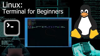 Kali Linux Terminal  Command Line for Beginners Tutorial [upl. by Yelwar]