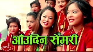 Tamang Selo 2016  Aaudin Semari  Milan Lama amp Indira Gole Gurung [upl. by Onailime]