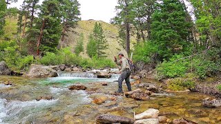 Fly Fishing the most INCREDIBLE Stream in Wyoming  Fly Fishing Wyoming part 3 [upl. by Yerdna]