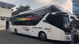 Bus Sinar Jaya Suites Class Jogja  Jakarta shorts [upl. by Anilrac]