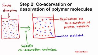 Microencapsulation by coacervation phase separation Microcapsule preparation [upl. by Sewellyn]