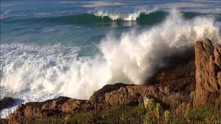 Ocean Waves crashing Sound  Free Sound Effects  Ambient Sounds [upl. by Baecher]