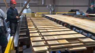 TS Lumber Stacker Systems Overview [upl. by Haze]