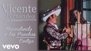 Vicente Fernández  Contigo Cover Audio [upl. by Einnim]