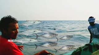 Net fishing at Tamil Nadu [upl. by Leonelle]