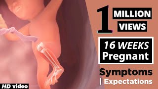 16 Weeks Pregnant  Pregnancy Week By Week Symptoms  Ultrasound Dimensions [upl. by Denten]