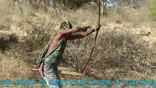 Hadzabe tribe the last hunters and gatherers of Tanzania  Edited by Carmine Salituro [upl. by Glaser]