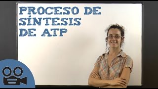 Proceso de síntesis de ATP [upl. by Hillary968]