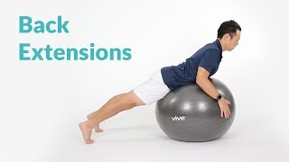 How to Perform Back Extensions on Exercise Ball [upl. by Turley]