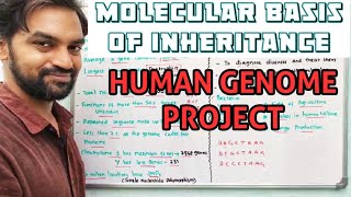 Human Genome Project  Molecular basis of Inheritance [upl. by Wallis185]