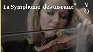 ORSAY LIVE  La Symphonie des oiseaux  FR  Musée d’Orsay [upl. by Franckot]