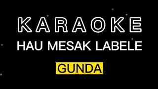 Karaoke  Hau Mesak Labele  Gunda [upl. by Nosmoht]