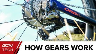 How Do Bike Gears Work  Bicycle Gears Explained [upl. by Ayn602]