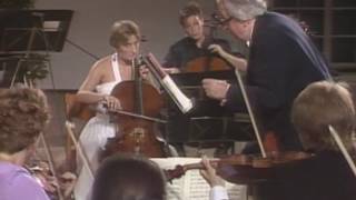 Mozart Divertimento DDur K334 Sandor Vegh Salzburg 1988 [upl. by Johnsson]