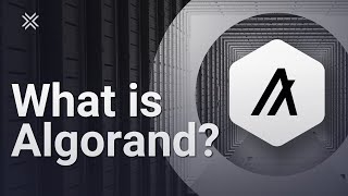 What is Algorand ALGO [upl. by Shawnee]