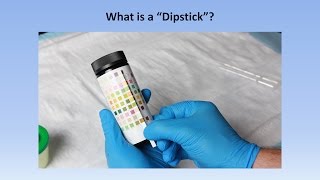 Interpretation of the Urinalysis Part 2  The Dipstick [upl. by Ahsim716]