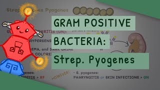 Gram Positive Bacteria Streptococcus Pyogenes [upl. by Rosalee]