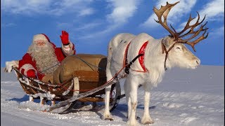 Best Santa Claus Reindeer Rides 🦌🎅 Lapland Father Christmas in Rovaniemi Arctic Circle Finland [upl. by Sonitnatsnoc]