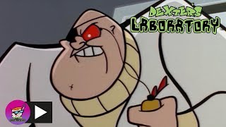 Dexters Laboratory  Photo Finish  Cartoon Network [upl. by Gairc]