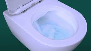 What are Rimless Toilets [upl. by Laurette]