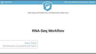 R Tutorial  RNASeq Workflow [upl. by Nixie]