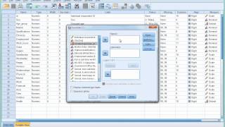 SPSS Tutorial 6  Introducing Crosstabulation [upl. by Htinek]