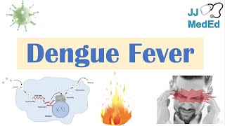 Dengue Fever  Pathophysiology Symptoms Diagnosis amp Treatment [upl. by Nashoma]