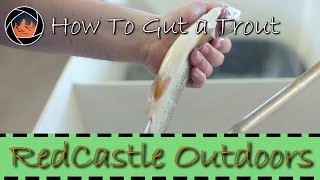 How to Gut a Trout the Right Way [upl. by Yssor138]