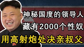 玩弄2000個性奴，國家只有一個頻道，看好萊塢電影要判死刑，殺害親哥，用高射炮炸死叔父，最神秘的朝鮮領導人：金正恩 [upl. by Creamer]