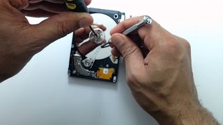 How to recover data from a dead hard drive for beginners [upl. by Lavotsirc]