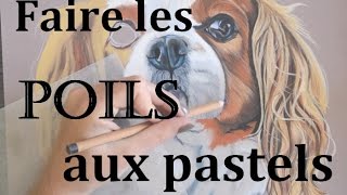 Comment dessiner des poils réalistes aux pastels [upl. by Airotkiv664]