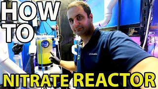 HOW TO SET UP A NITRATE REACTOR [upl. by Laehcimaj]