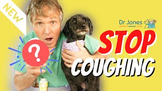 Coughing Dog Try this NEW Remedy [upl. by Finstad]