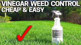 Vinegar Weed Killer  Works in 24 Hours [upl. by Giustina]