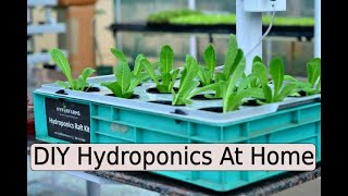 DIY Hydroponics At Home [upl. by Oatis]