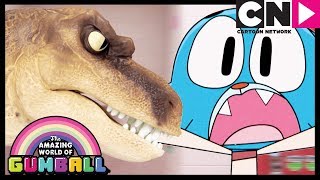 Gumball  Tina The Bully  The Fight clip  Cartoon Network [upl. by Ramsey]