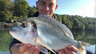 Sea Fishing UK  Gilthead Bream and Bass Fishing [upl. by Girvin]