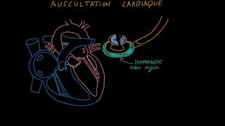 Auscultation cardiaque Partie 1 Introduction Docteur Synapse [upl. by Ridley]