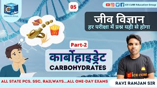 Carbohydrate kaha se milta hai  कार्बोहाइड्रेट  Carbohydrate  Part2 [upl. by Rehpinnej]