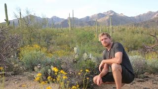 Solo Survival How to Survive Alone in the Desert Sonoran Desert Part One [upl. by Annmaria]