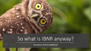 IBNR explained insurance term [upl. by Hofmann]