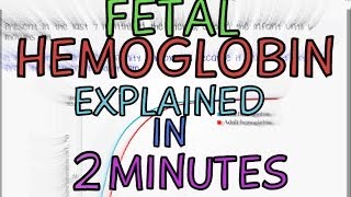 Fetal Hemoglobin  Foetal Haemoglobin  Explained in 2 Minutes [upl. by Ailegave]