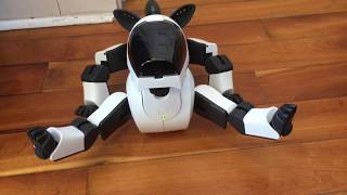 Aibo ERS210 Developing DHS [upl. by Cappella]